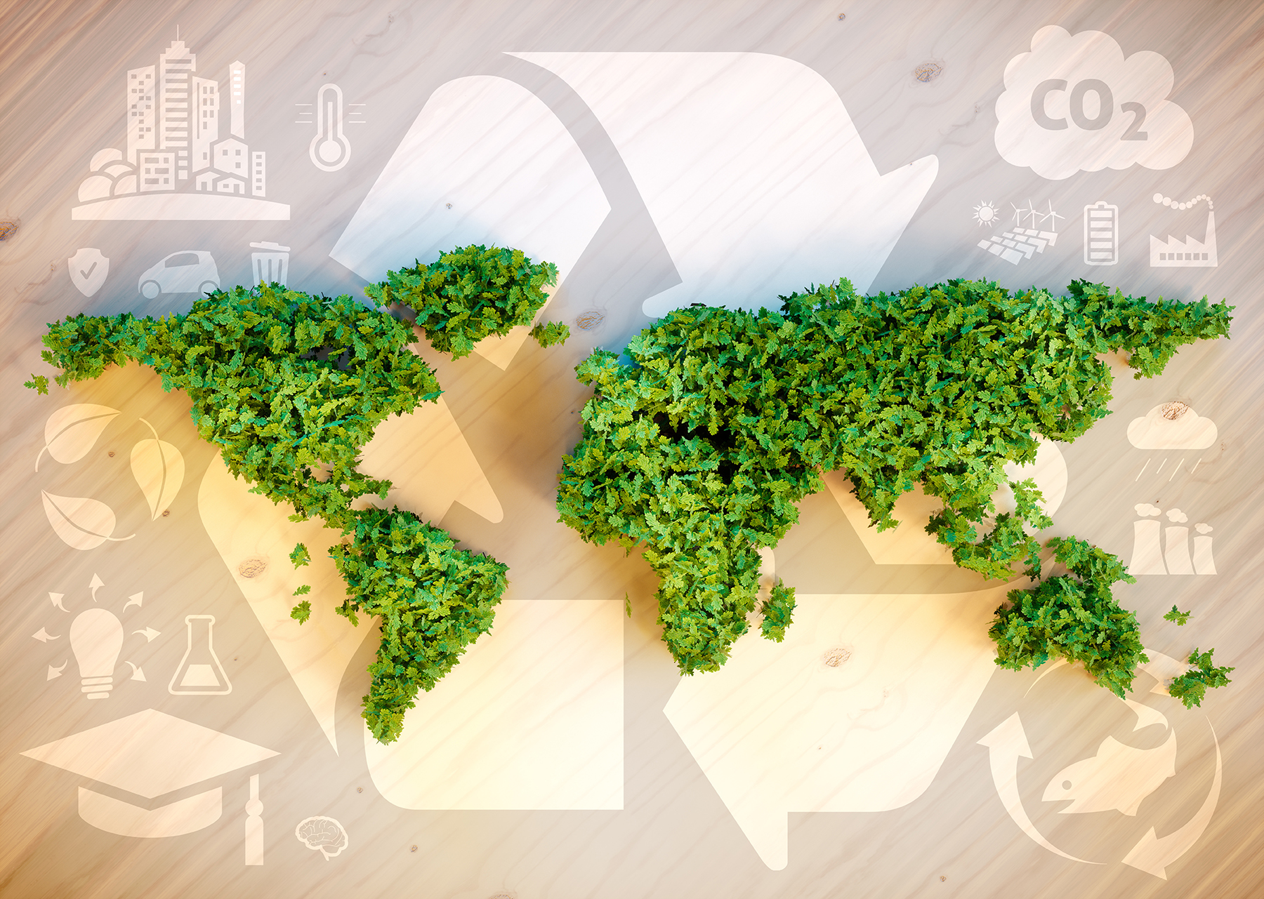 As empresas valorizam cada vez mais a sustentabilidade dos seus fornecedores. E você?